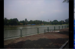 The Riverine By The Park (D12), Apartment #142712882